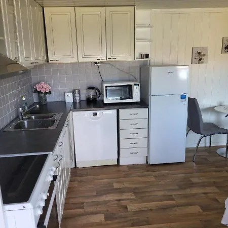 Saga 시르셰네스